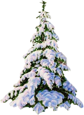 Elka21 - Animated Christmas Tree Png (329x448), Png Download