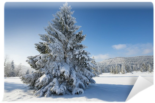 Winter Landscape With Big Snow Covered Spruce Tree - Paysage D'hiver (400x400), Png Download