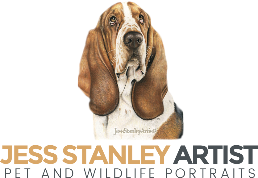 Demo Demo - Jess Stanley Artist (836x577), Png Download