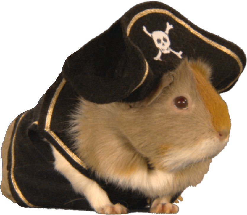 Guinea Pigs Stripe - Striped Guinea Pig South Park (848x744), Png Download
