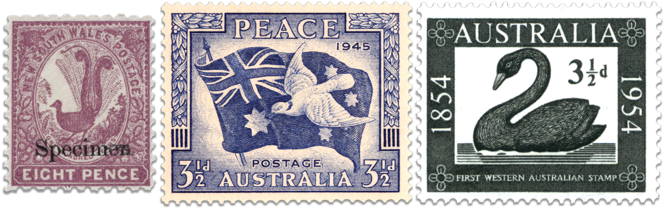 Magenta Lyrebird Colonial Stamp, 1946 3 1/2d - Black Swan Cufflinks - Australian Cufflinks For Men (970x323), Png Download