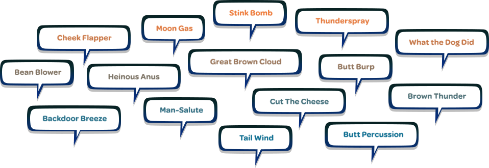 There Are Literally Hundreds Of Creative Euphemisms - Flatulence Synonym (958x330), Png Download