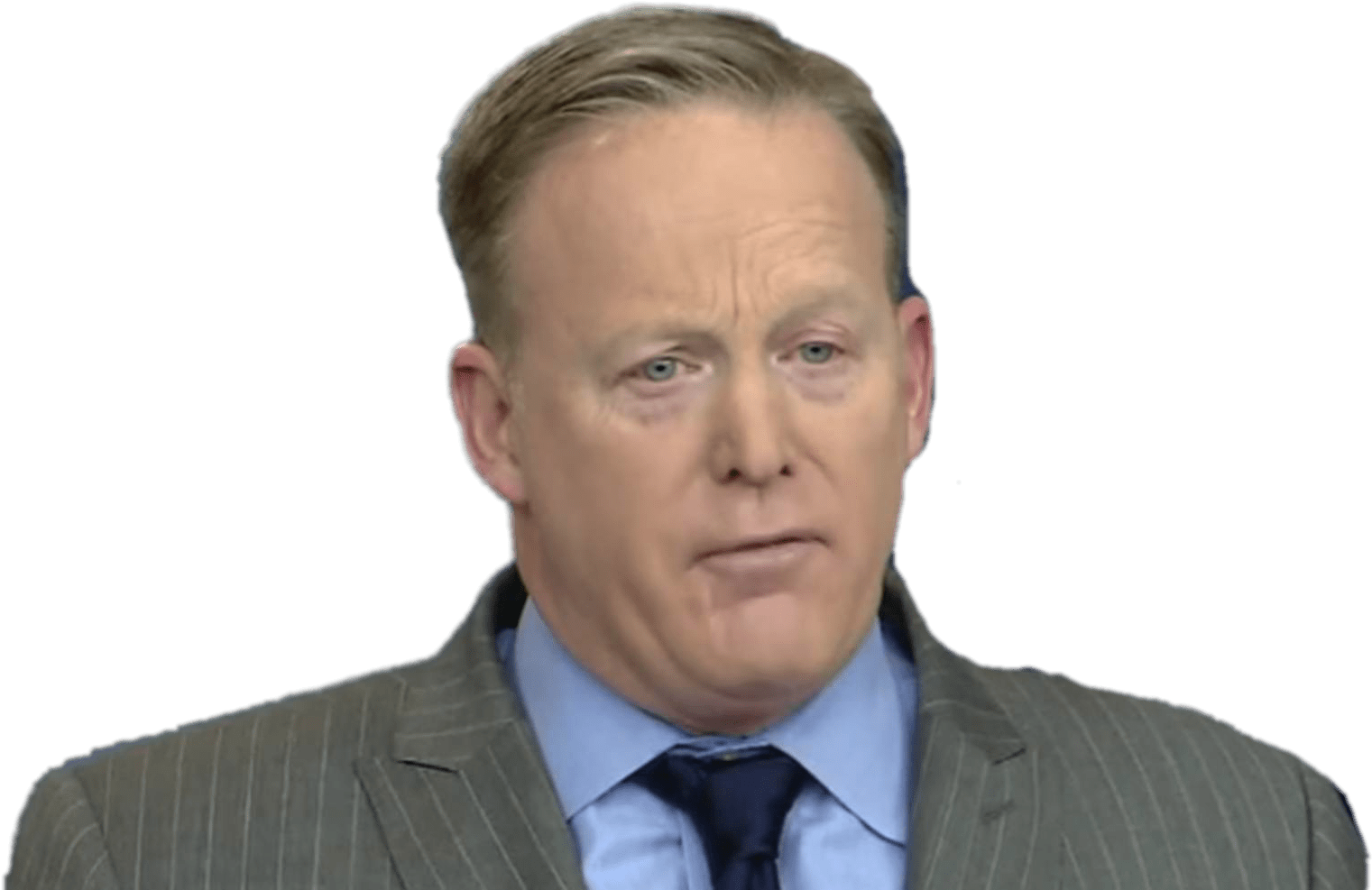 Sean Spicer Speaking Png - Pin Stripes (2048x1025), Png Download