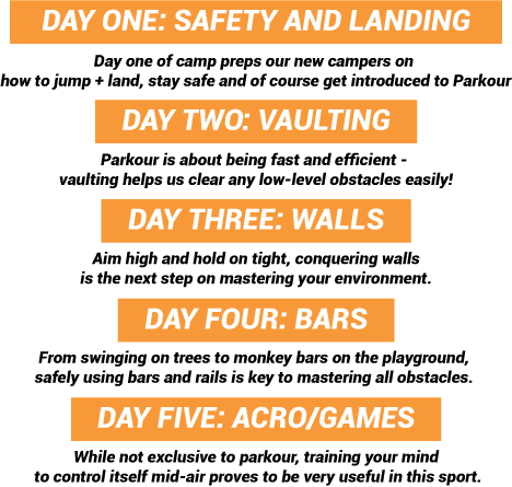 Artboard 33 - Portable Network Graphics (468x445), Png Download