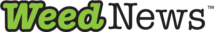 Graphic Design (750x410), Png Download