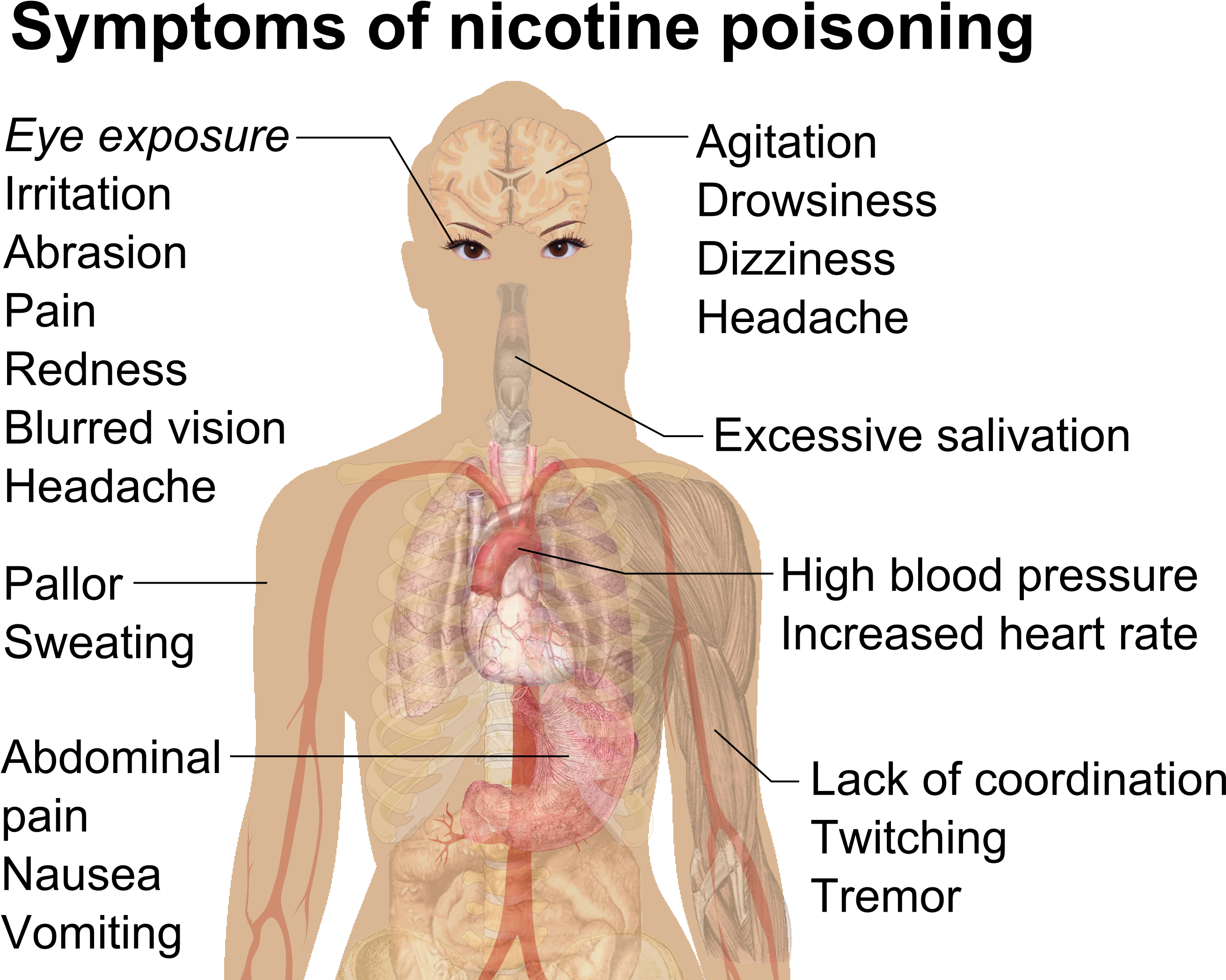 Symptoms Of Nicotine Poisoning - Nicotine Poisoning (2726x2138), Png Download
