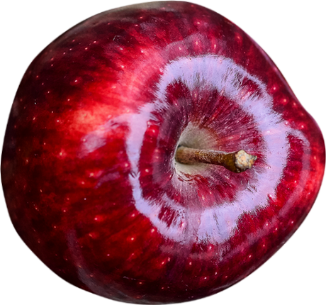 My Favorite Recipes (460x430), Png Download