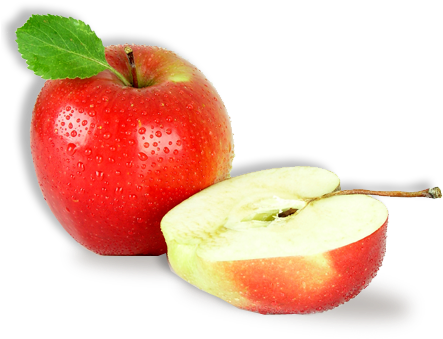 Baby Fruit Feeder, Tinabless Bpa Free & 100% Silicone (449x347), Png Download