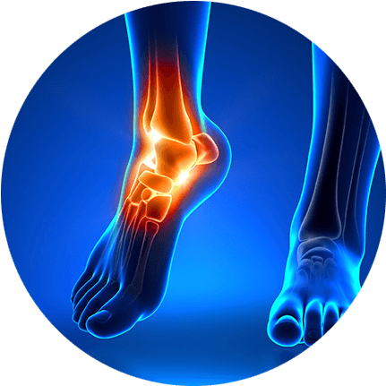Foot & Ankle Condition - Foot And Ankle (450x450), Png Download