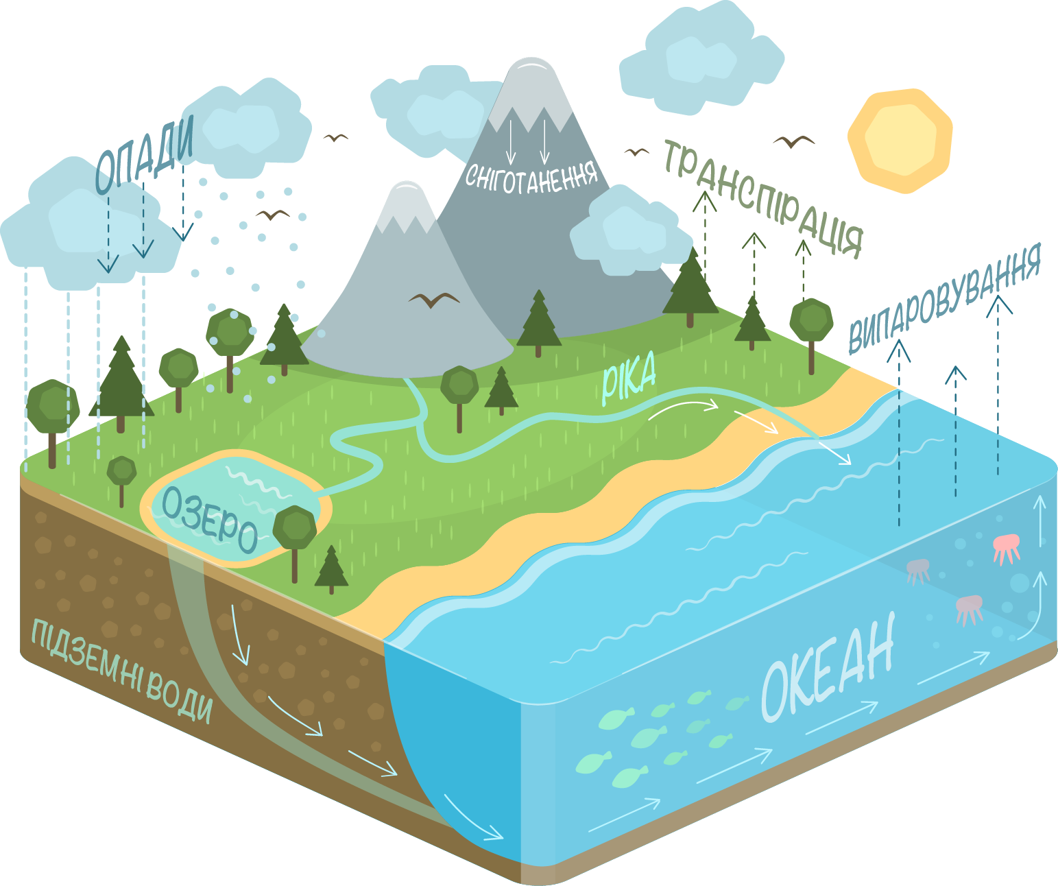 Water Cycle Diagram-uk - Water Cycle Png (1543x1292), Png Download