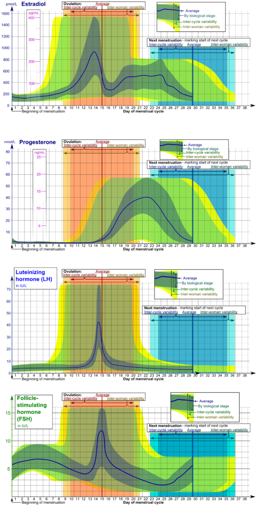 Hormones Estradiol, Progesterone, Lh And Fsh During - Menstrual Cycle Hormones (520x1024), Png Download