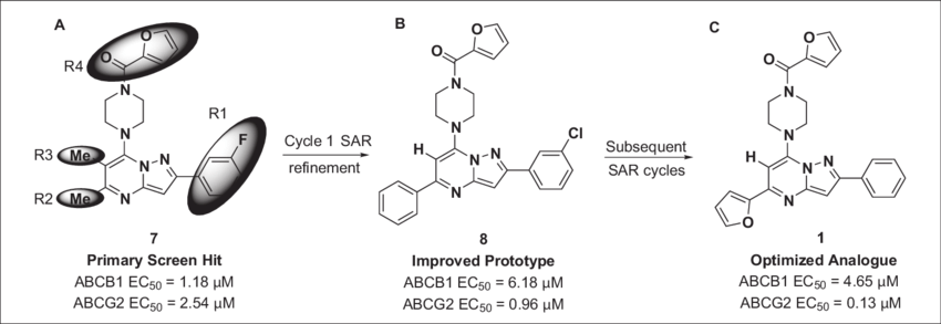 Scaffold Modification Summary From Primary Hit To Probe - Chemical Compound (850x293), Png Download