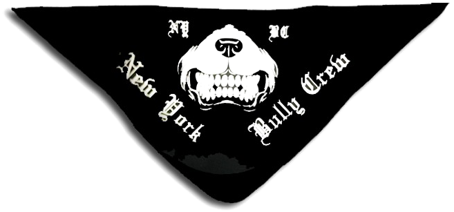 Thug Life Bandana Png Background Image - Kerchief (660x500), Png Download