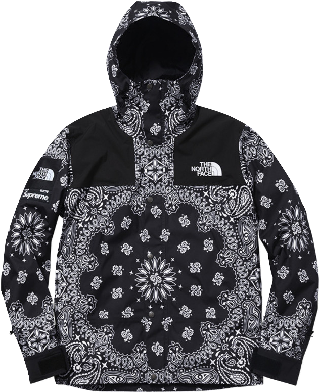 supreme the north face bandana mountain jacket