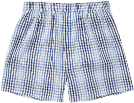 Checkered Boxer Shorts - Boxer Shorts Transparent Background (460x359), Png Download