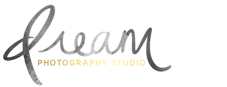 Dream Photography Png (973x303), Png Download