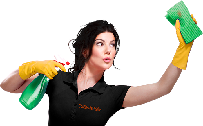 Cleaning Lady Png - Cleaning Lady (700x434), Png Download