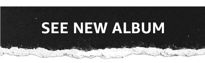 Snow (729x221), Png Download