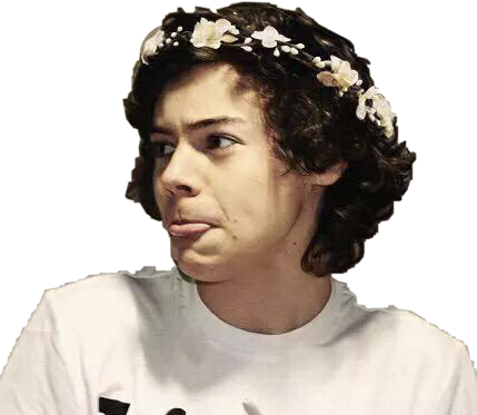 Harry Styles With Flower Crown (429x373), Png Download