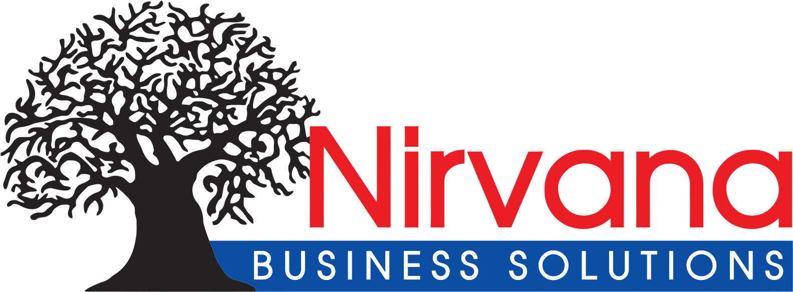 Subscribe To Our Newsletter - Nirvana Business Solutions (1592x588), Png Download