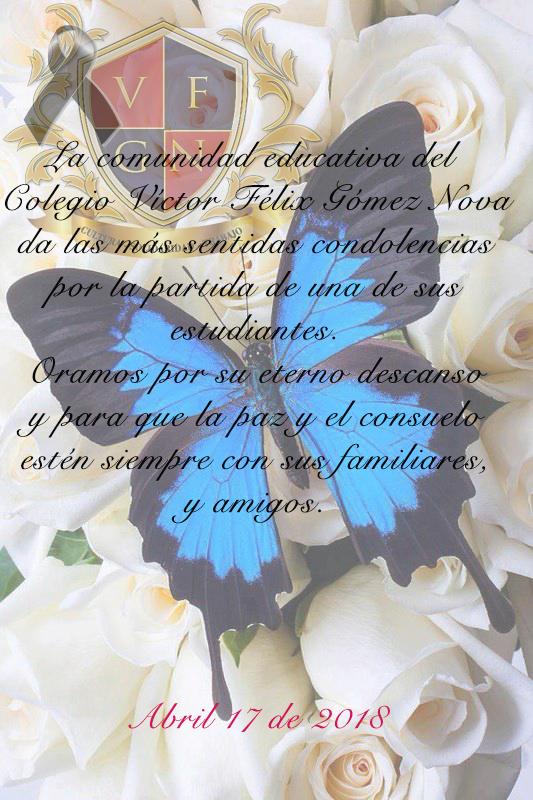 Luto Colegio - Blue Butterfly With Flower (533x800), Png Download
