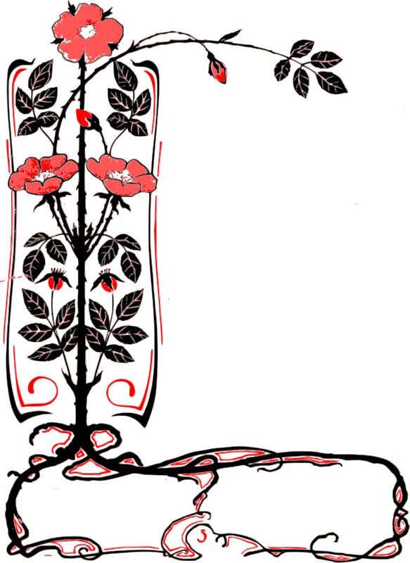 Frame Corner Flower Transparent (583x800), Png Download