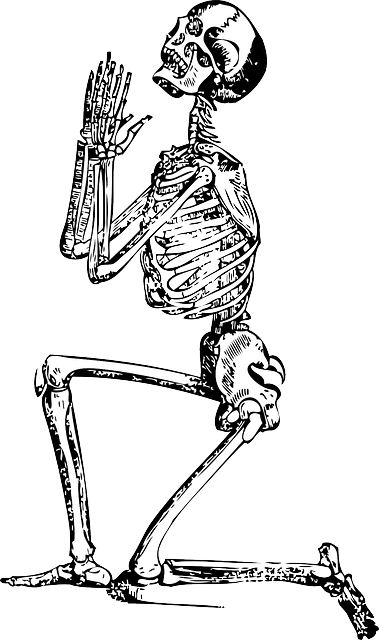 Outline, Hand, Drawn, Drawing, Sketch, People, Man - Skeleton Drawing (379x640), Png Download