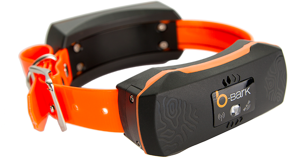 Orange Collar, White Bg, Left View, Png - Tracking Collar (1000x607), Png Download