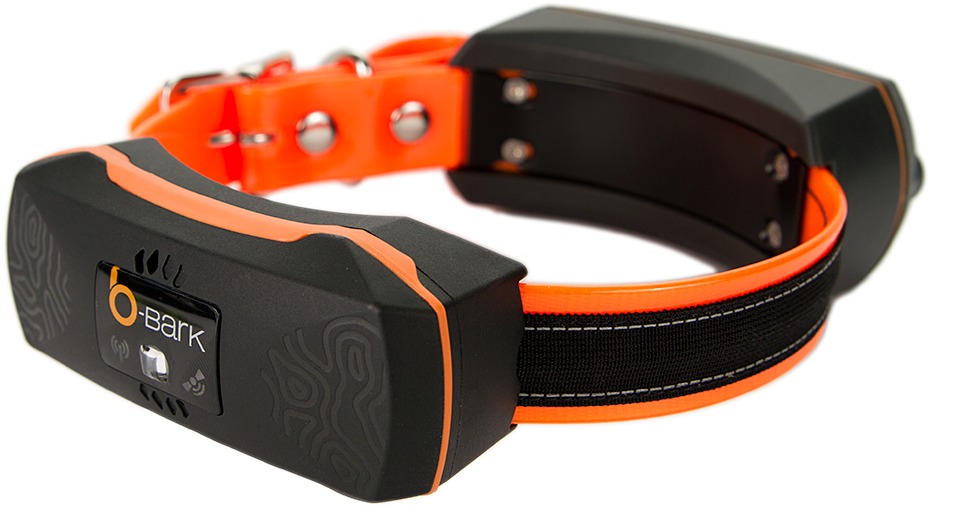 Orange Collar, White Bg, Right View, Png - B Bark (1000x658), Png Download