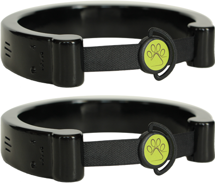 Chord Collar - Dog Collar (433x441), Png Download