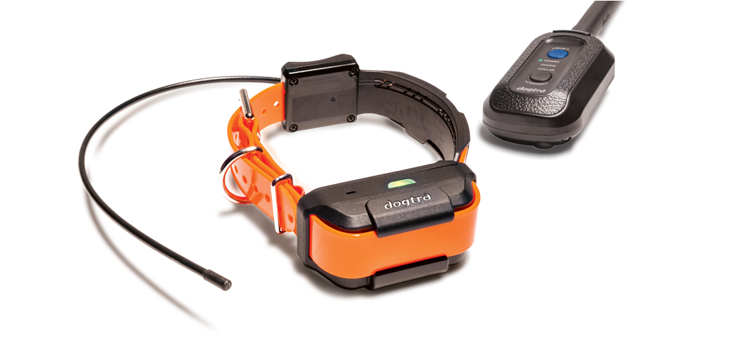 Bottom-collar - Dogtra Pathfinder Gps E-collar Black Gps E-collar Black (1204x500), Png Download