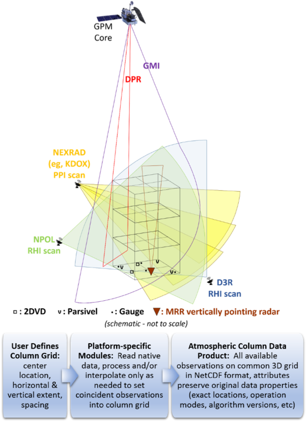 Current Simba Version - Simba (610x835), Png Download
