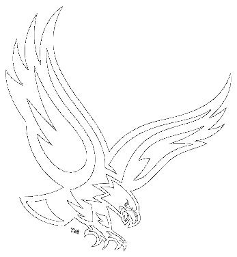 Boston College Eagles - Eagle Logo Png (347x376), Png Download