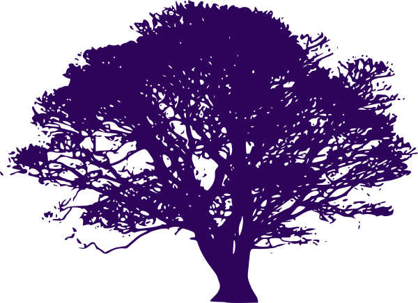 Olive Tree Black And White (600x436), Png Download