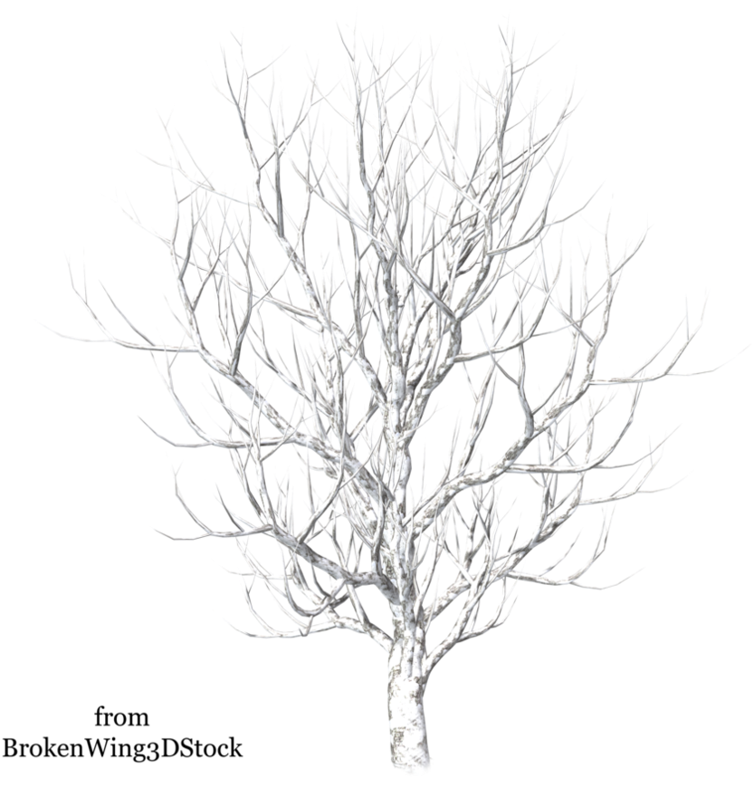 Vector Freeuse Stock Winter By Brokenwing Dstock On - Winter Snow Tree Png (894x894), Png Download