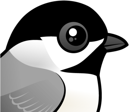 Chickadee Vector North Carolina - Black Capped Chickadee Cartoon (440x440), Png Download