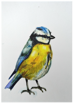 Watercolor Drawing Of Cute Bird Poster - Click Wall Art Cascading Flowers Painting Print (400x400), Png Download