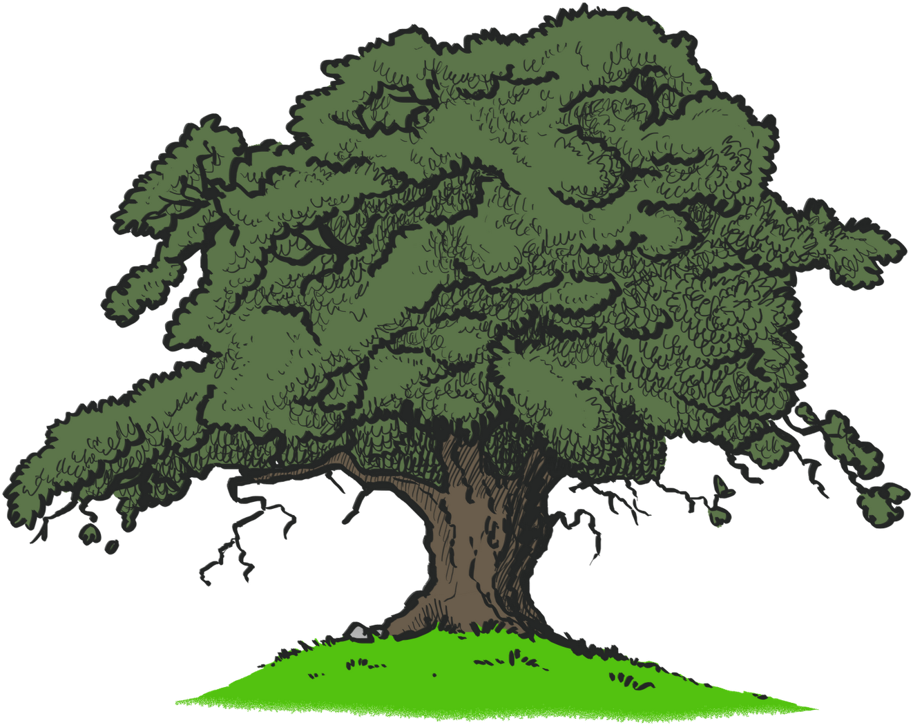 Description (1600x1131), Png Download