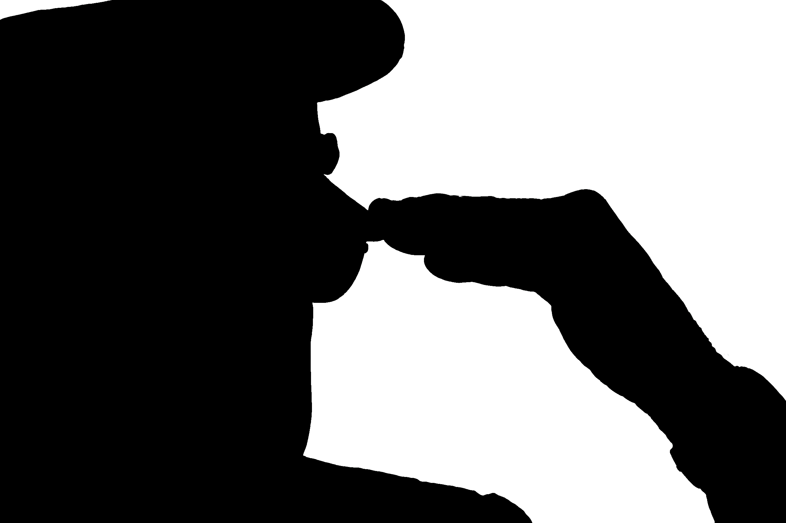 Soldier Saluting Silhouette Transparent (2512x1670), Png Download