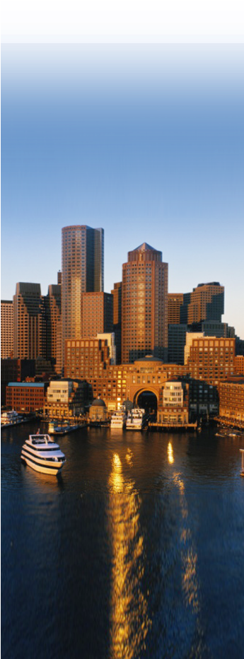 Media, Information Services & Technology - Massachusetts [book] (344x948), Png Download