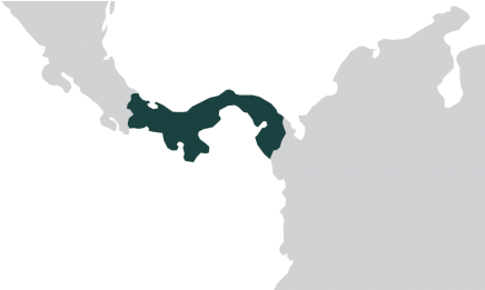Ilab In Panama - Central Spanish Speaking Countries In Latin America (480x260), Png Download