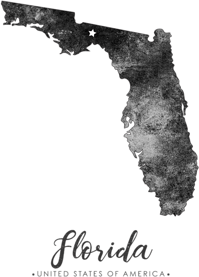 Bleed Area May Not Be Visible - Florida (560x700), Png Download