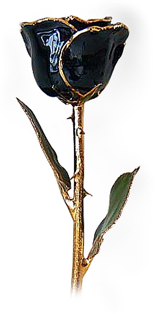 Blackrose Lrg - Gold And Black Rose Png (538x1090), Png Download