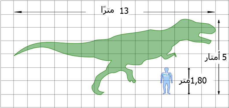 Trex Vs Human-ar - Tyrannosaurus Rex Vs Man (800x382), Png Download