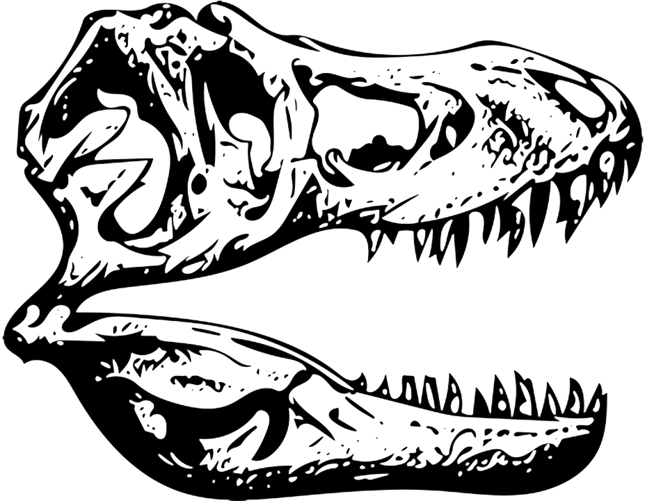T-rex Tyrannosaurus Fossil - T Rex Skull Clip Art (1280x720), Png Download