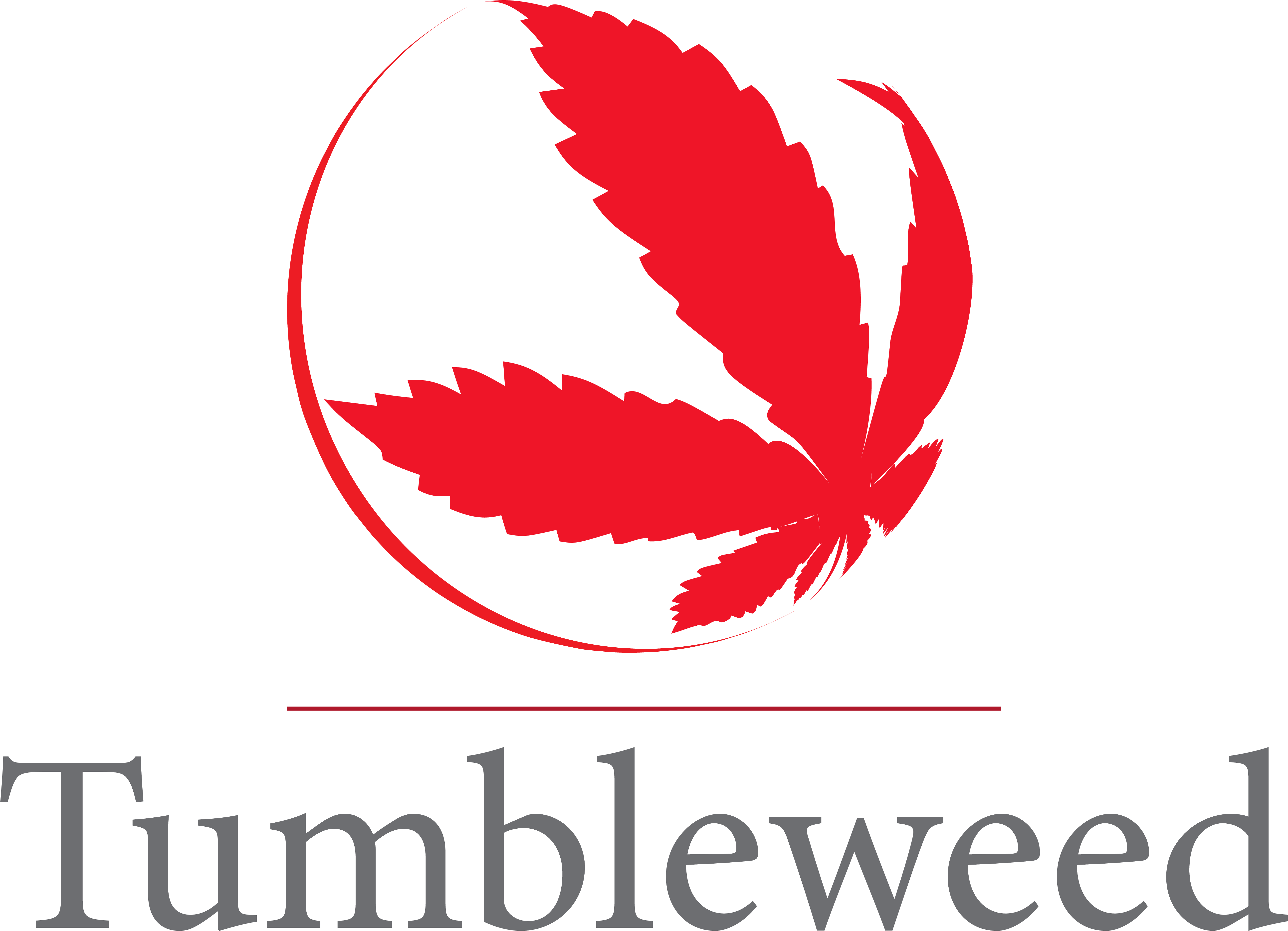 Tumbleweed Png (9363x5958), Png Download