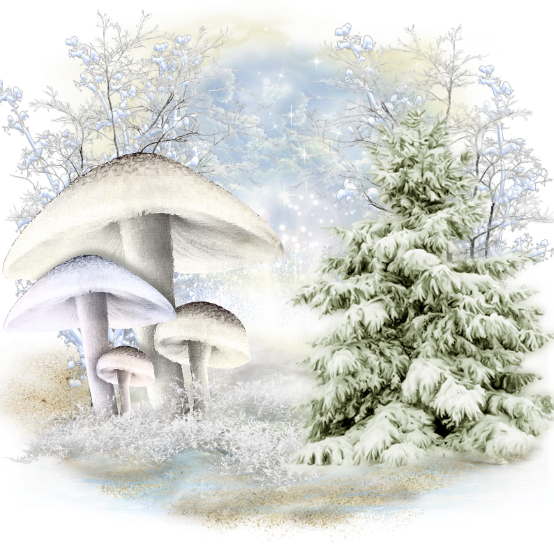 Tree (794x788), Png Download