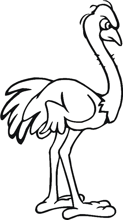 Common Ostrich Drawing Cartoon Clip Art - Ostrich Angry Cartoon (600x800), Png Download