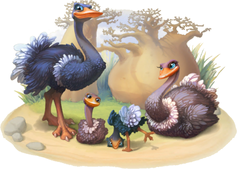 Ostrich Family - Common Ostrich (798x571), Png Download