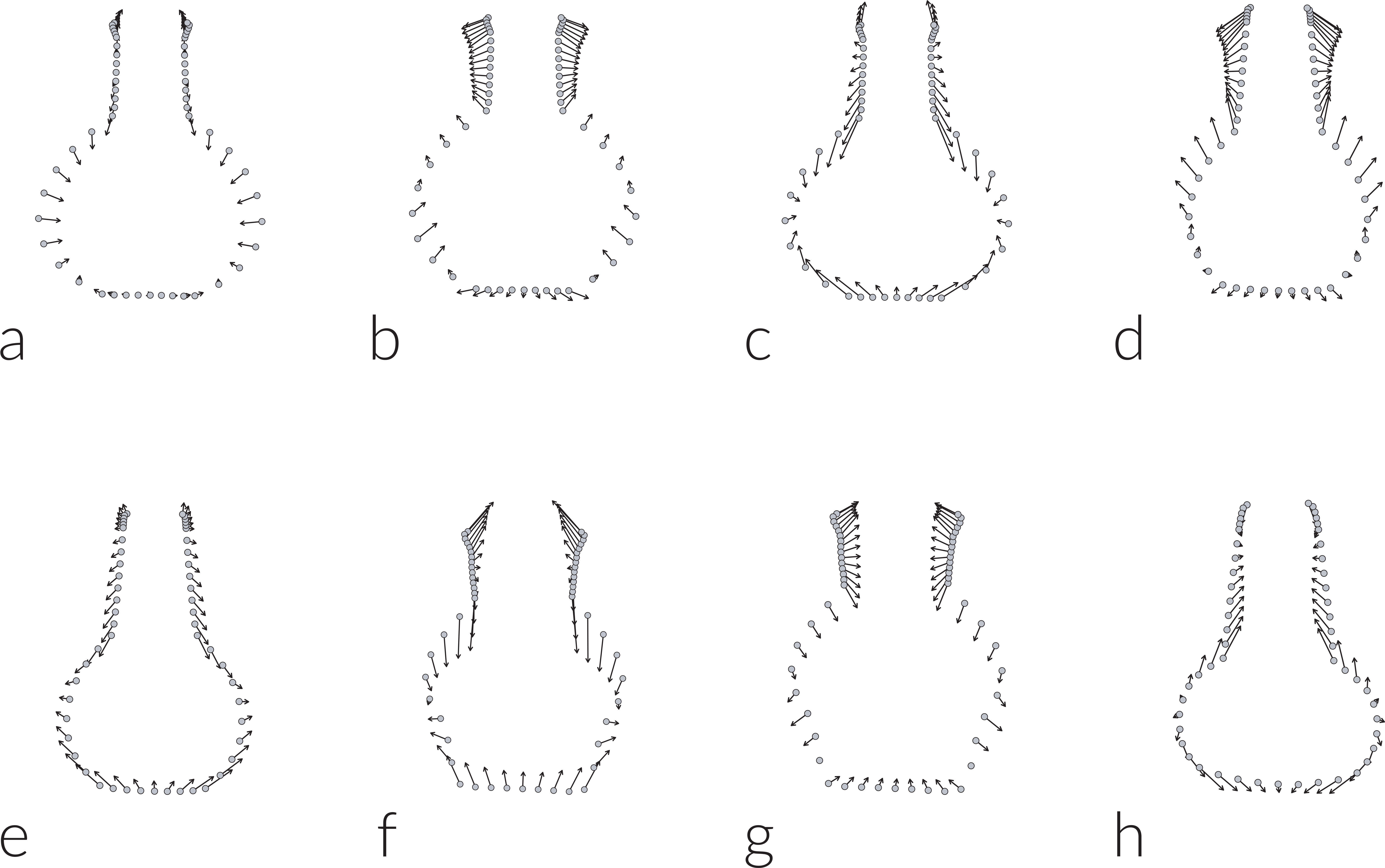Comparison Of Mean Bottle Shapes By Type For Those - Portable Network Graphics (6961x4298), Png Download